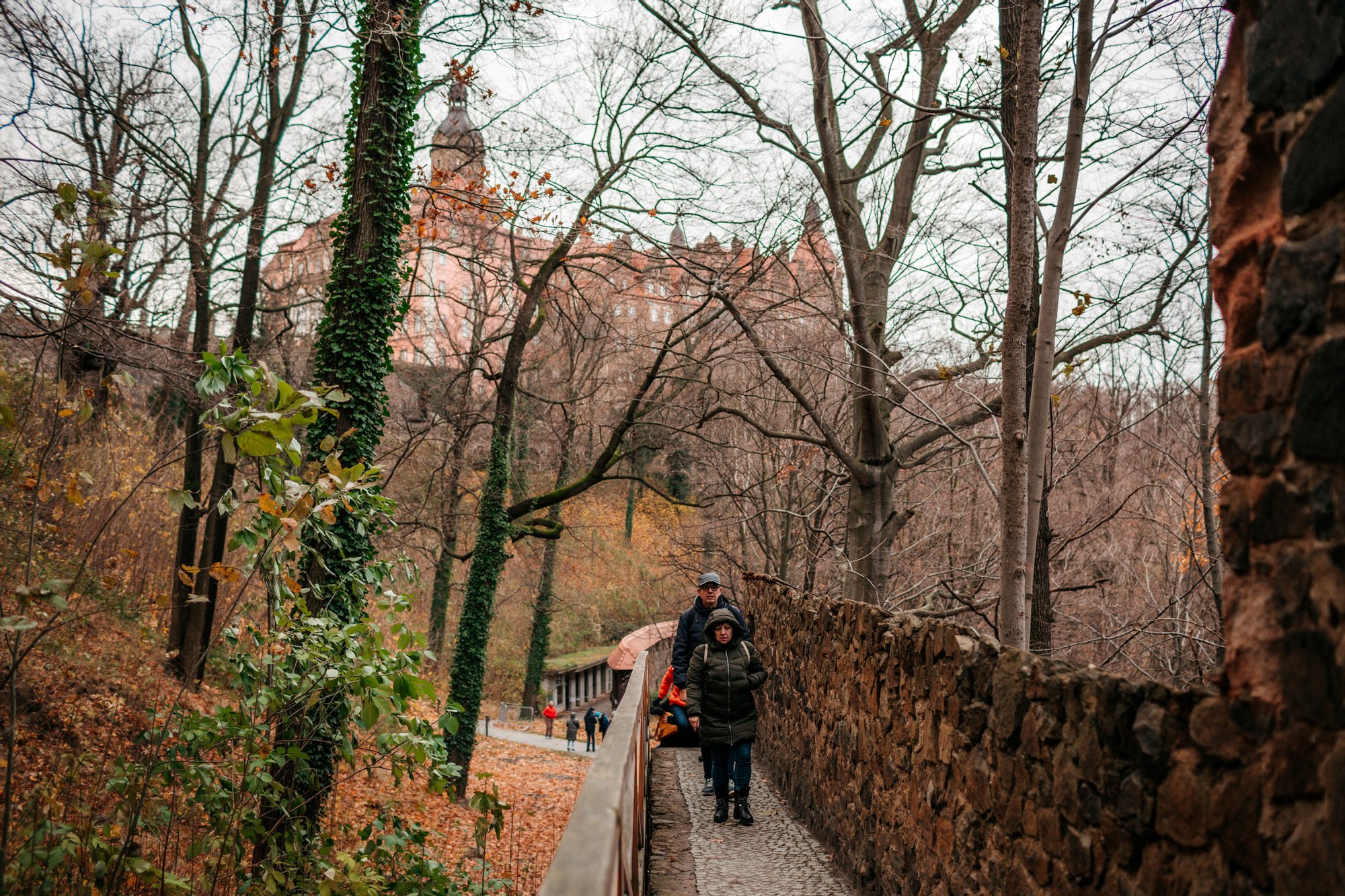 Kolorowa, pozioma fotografia: grupa seniorów i seniorek słucha spaceruje po parku wokół Zamku Książ. W tle między drzewami widoczny jest zamek.
