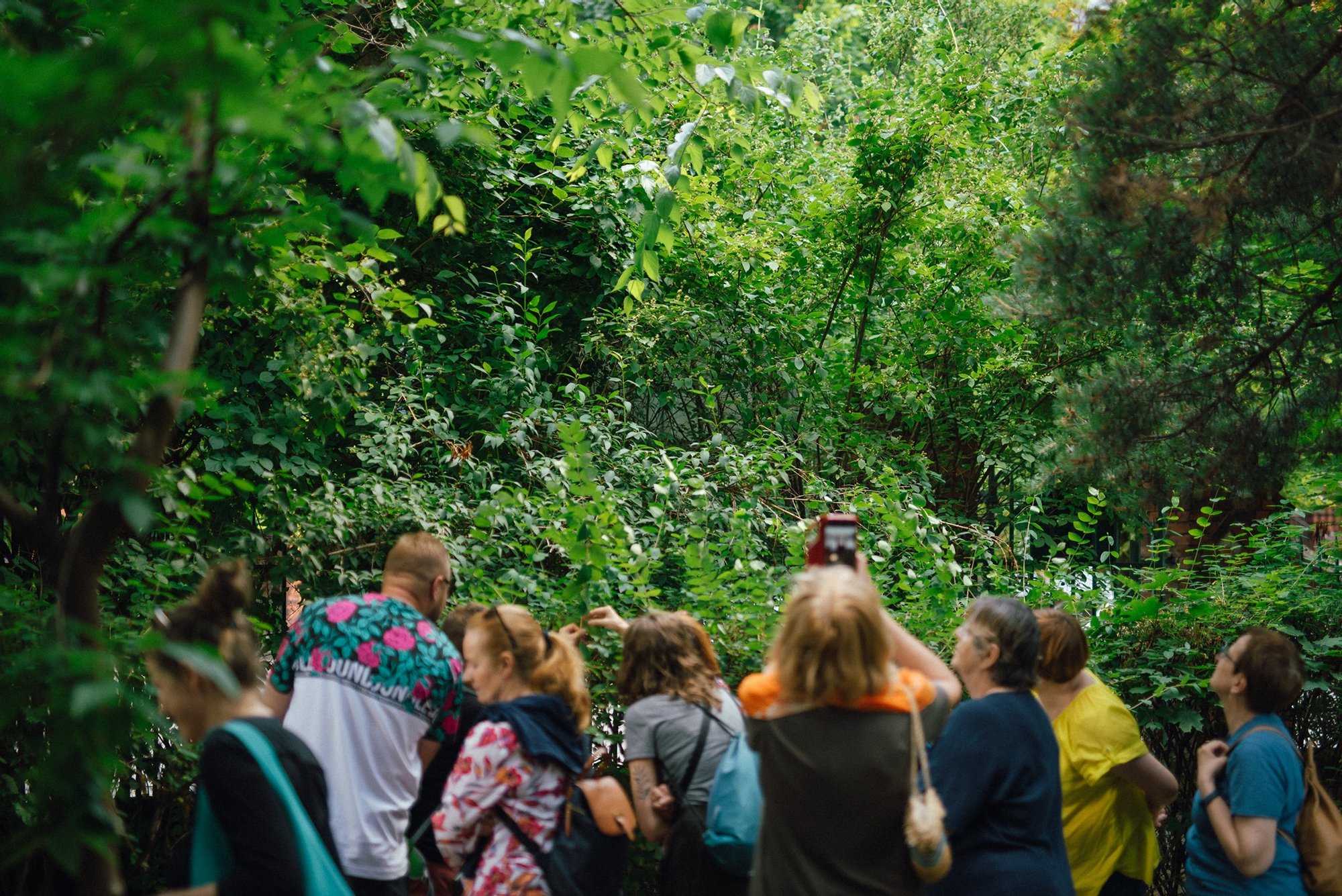 Grupa ludzi spaceruje po gęsto zarośniętym roślinami parku.