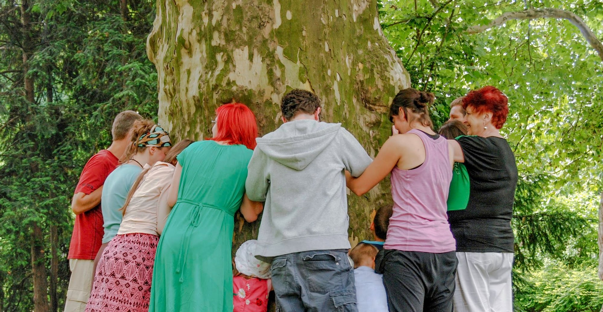 Grupa ludzi stoi dookoła potężnego drzewa i obejmuje je czule.