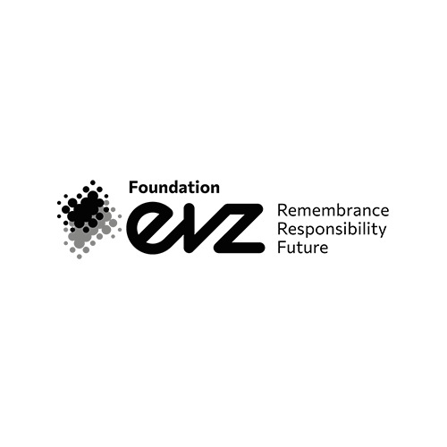 Logo Fundacji EVZ