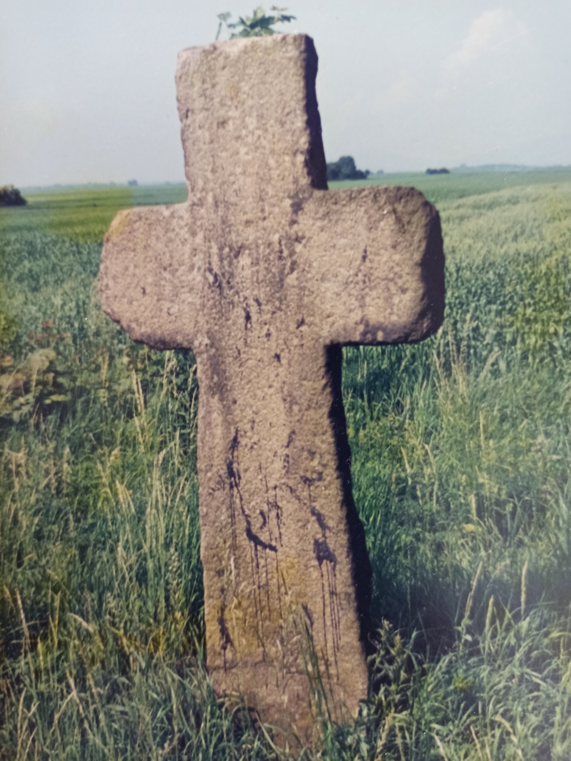 Kolorowa, archiwalna fotografia: krzyż pokutny stojący w trawie