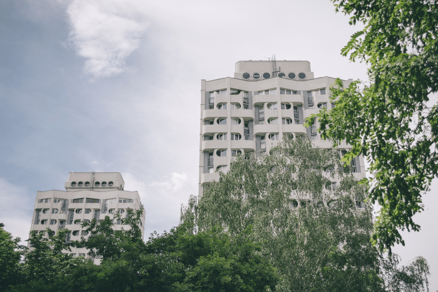 Poziome zdjęcie: widok na wrocłąwskie Sedesowce - białe wieżowce z charakterystycznymi okrągłymi oknami. Dolną część budynków na zdjęciu przesłąniają zielone korony drzew.
