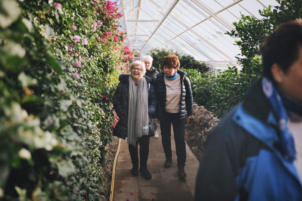Kolorowa fotografia: wąską alejką spacerują roześmiane seniorki. Podiwiają porośniętą bujną roślinnością ścianę, która mijają.