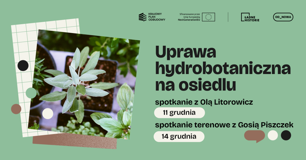 Kolorowa grafika. Na zielonym tle czarny napis: uprawa hydrobotaniczna na osiedlu. Poniżej: spotkanie z Olą Litorowicz 11 grudnia, spotkanie terenowe z Gosią Piszczek 14 grudnia. Po lewej stronie od napisów kolorowa fotografia przedstawiająca roślinki widziane z góry.