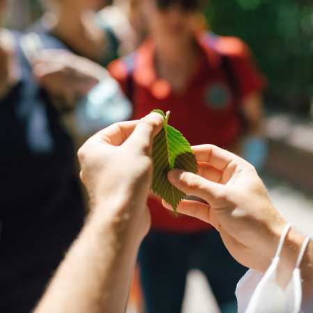 Pracownia Obywatelska – Zielony Plac Grunwaldzki OD NOWA (zakończone)