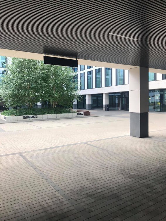 Pusty dziedziniec pokryty kostką brukową. Pośrodku nieduże drzewka posadzone na wydzielonej przestrzeni.