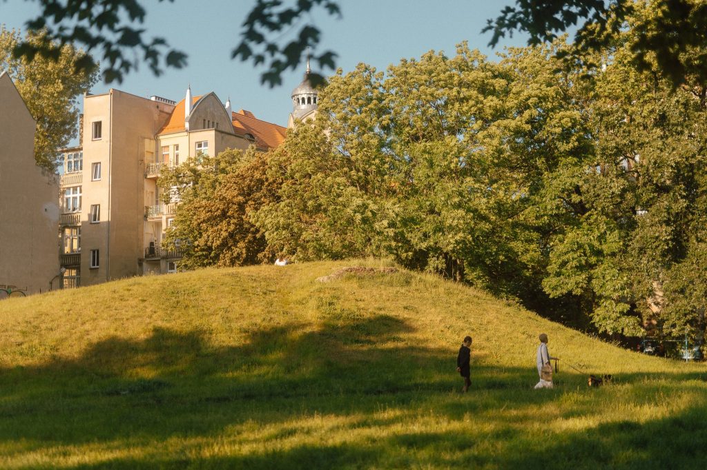 Kolorowa fotografia przedstawia soczyście zieloną łąkę w parku. W tle widoczne kamienice.