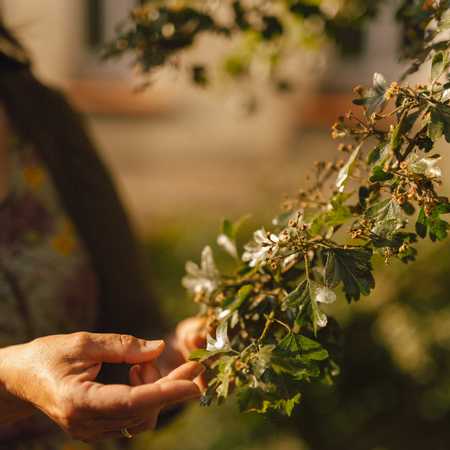 Warsztaty ekologiczne – jak zbudować solarną suszarkę