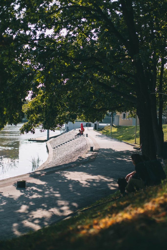 Pionowe zdjęcie: fragment zacienionego przez drzewa, odremontowanego nabrzeża Odry.