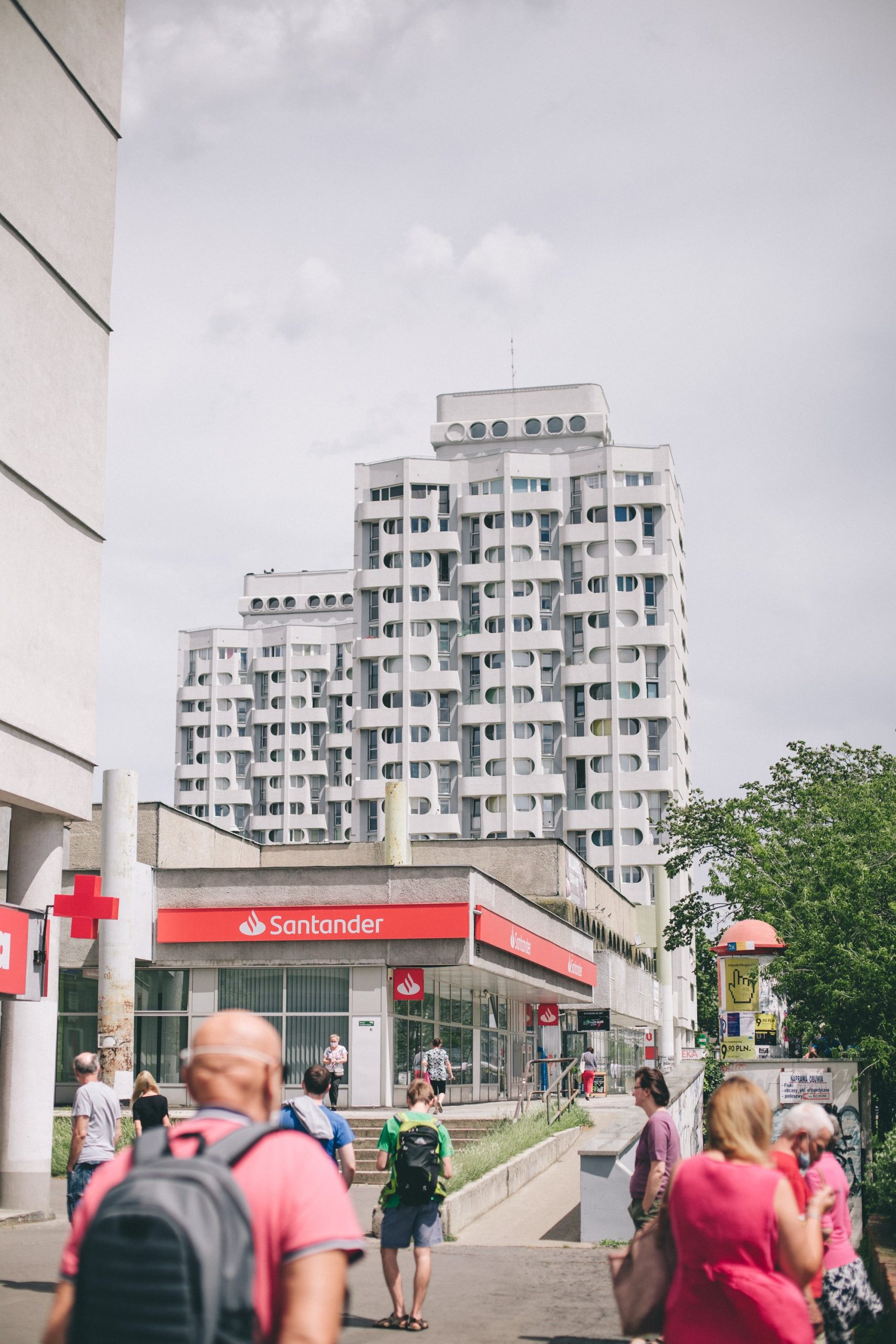 Dominika Kulczyńska