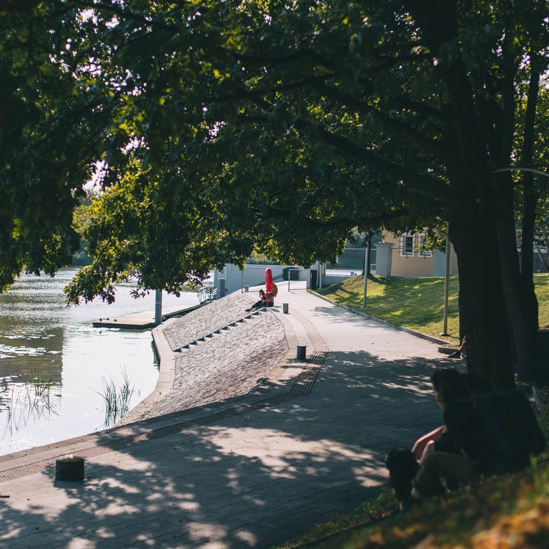 Fragment zacienionego przez drzewa, odremontowanego nabrzeża Odry. 