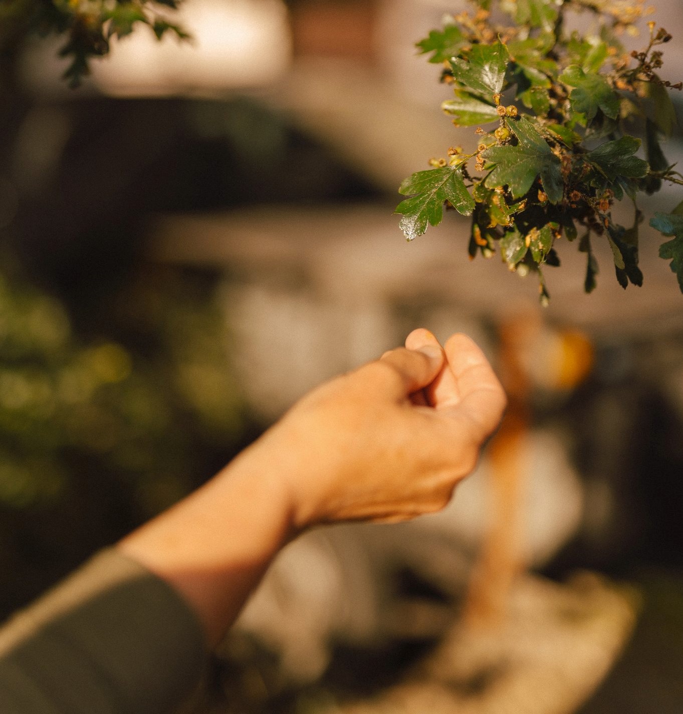 Zieleń na podwórku OD NOWA? Narada sąsiedzka