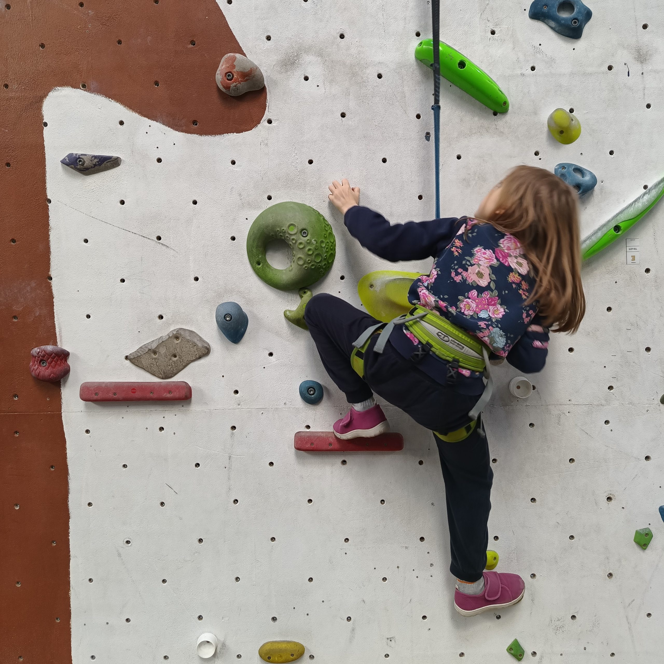 Pod Wrocławską Parasolką UNICEF