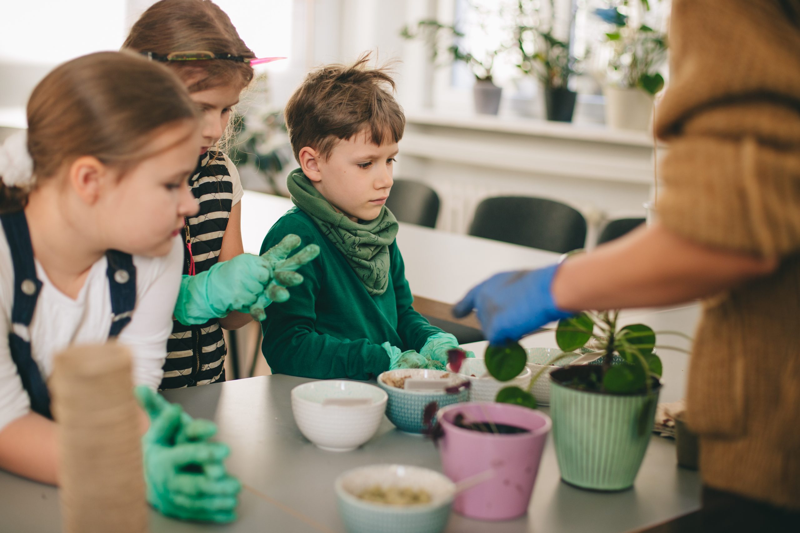 Od nasiona do talerza – warsztaty ogrodnicze dla dzieci