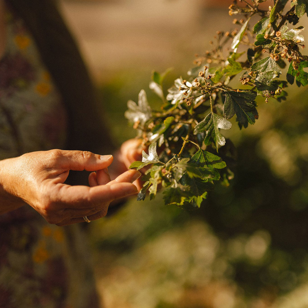 Ślady natury — cykl warsztatów artystycznych [Mikrogranty]