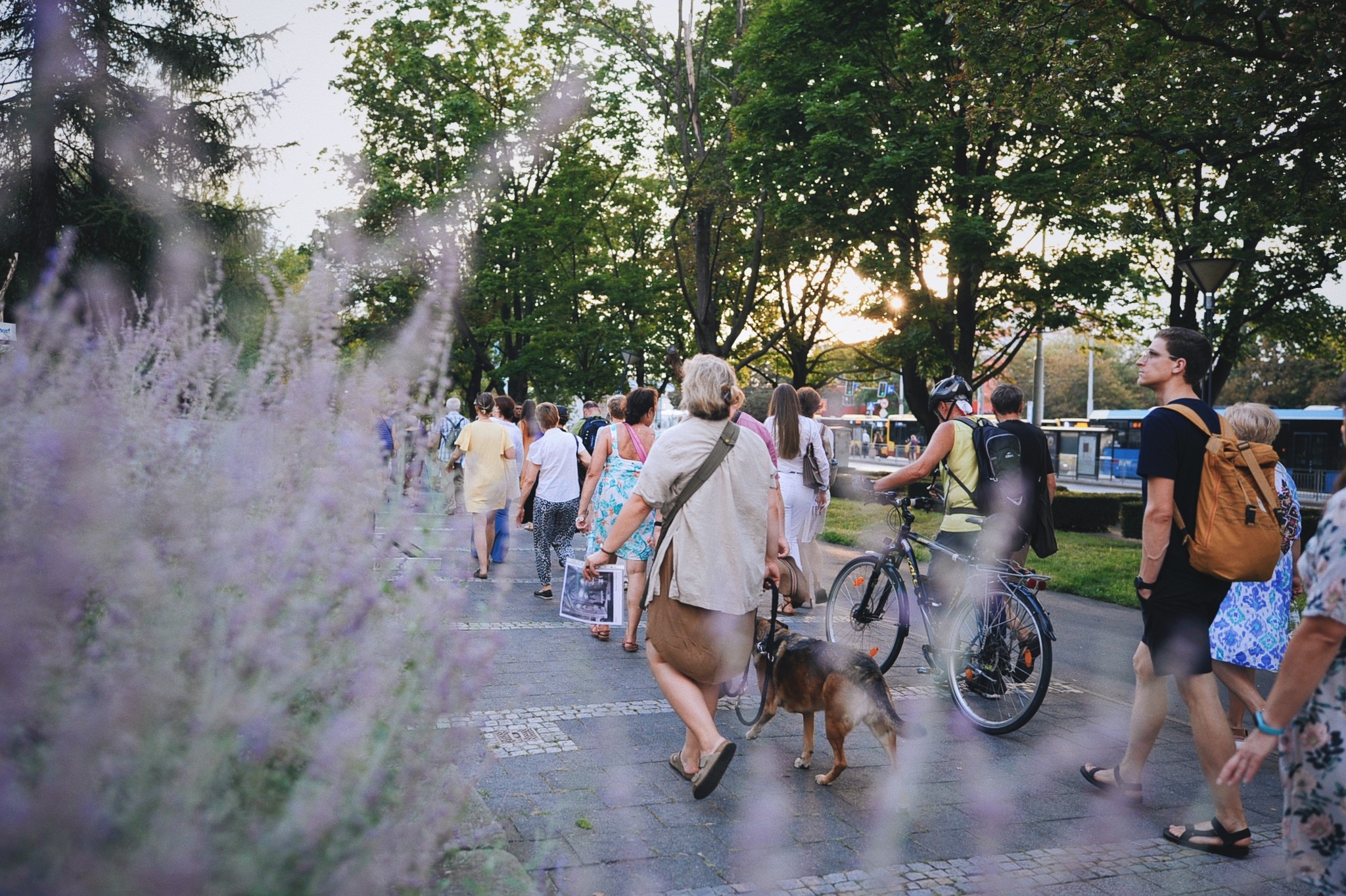 Święto Osiedla Plac Grunwaldzki: spacer śladami Hirszfeldów