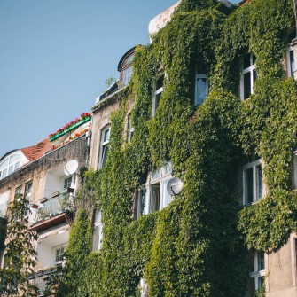 Widok na kamienice od strony frontu.