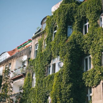 Widok na kamienice od strony frontu.