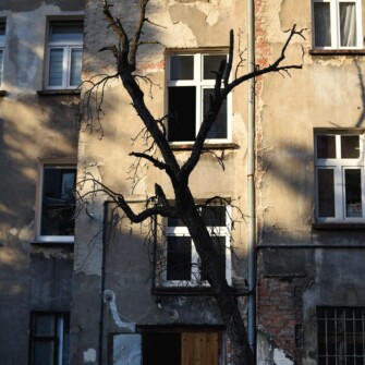 Widok kamienicy od strony podwórza.